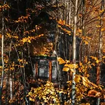 Domek alpejski Na Drzewie Ceprowo Szczyrk