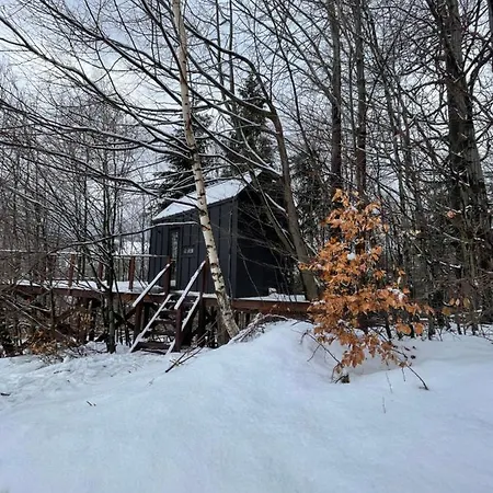 Na Drzewie Ceprowo Chalet