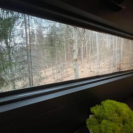 Domek alpejski Na Drzewie Ceprowo *