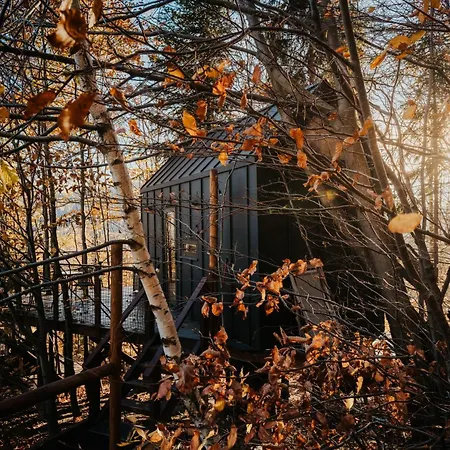 Chalé Na Drzewie Ceprowo *