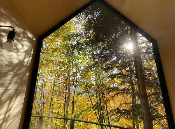 Na Drzewie Ceprowo Szczyrk