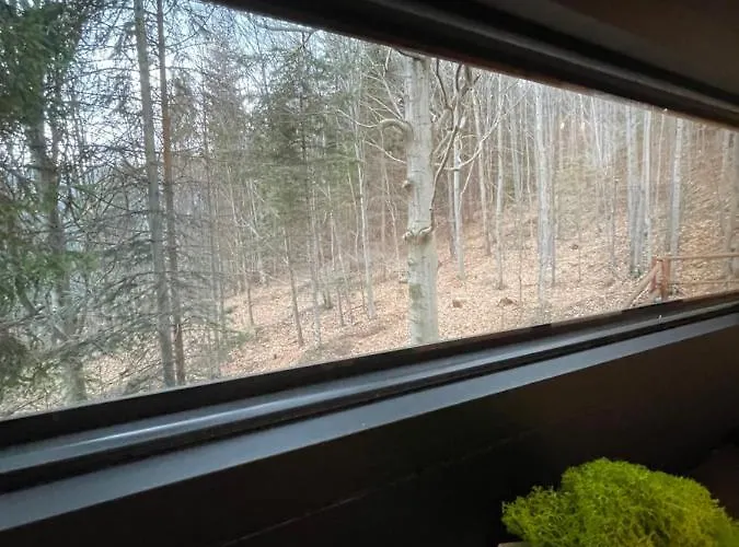 Chalet Na Drzewie Ceprowo *