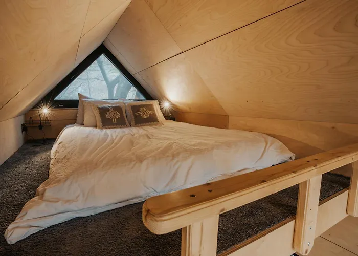 Na Drzewie Ceprowo Alpehytte